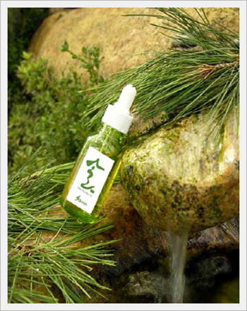 Red Pine Needle Essence Made in Korea